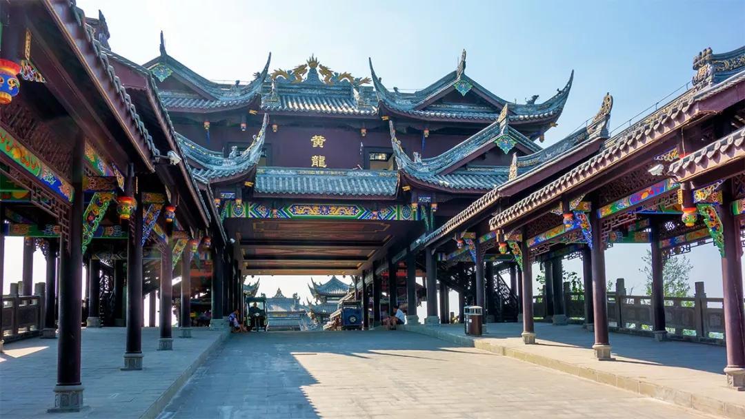 解答专业问题,尽在巨峰葡萄盛花期能浇水吗?问答社区